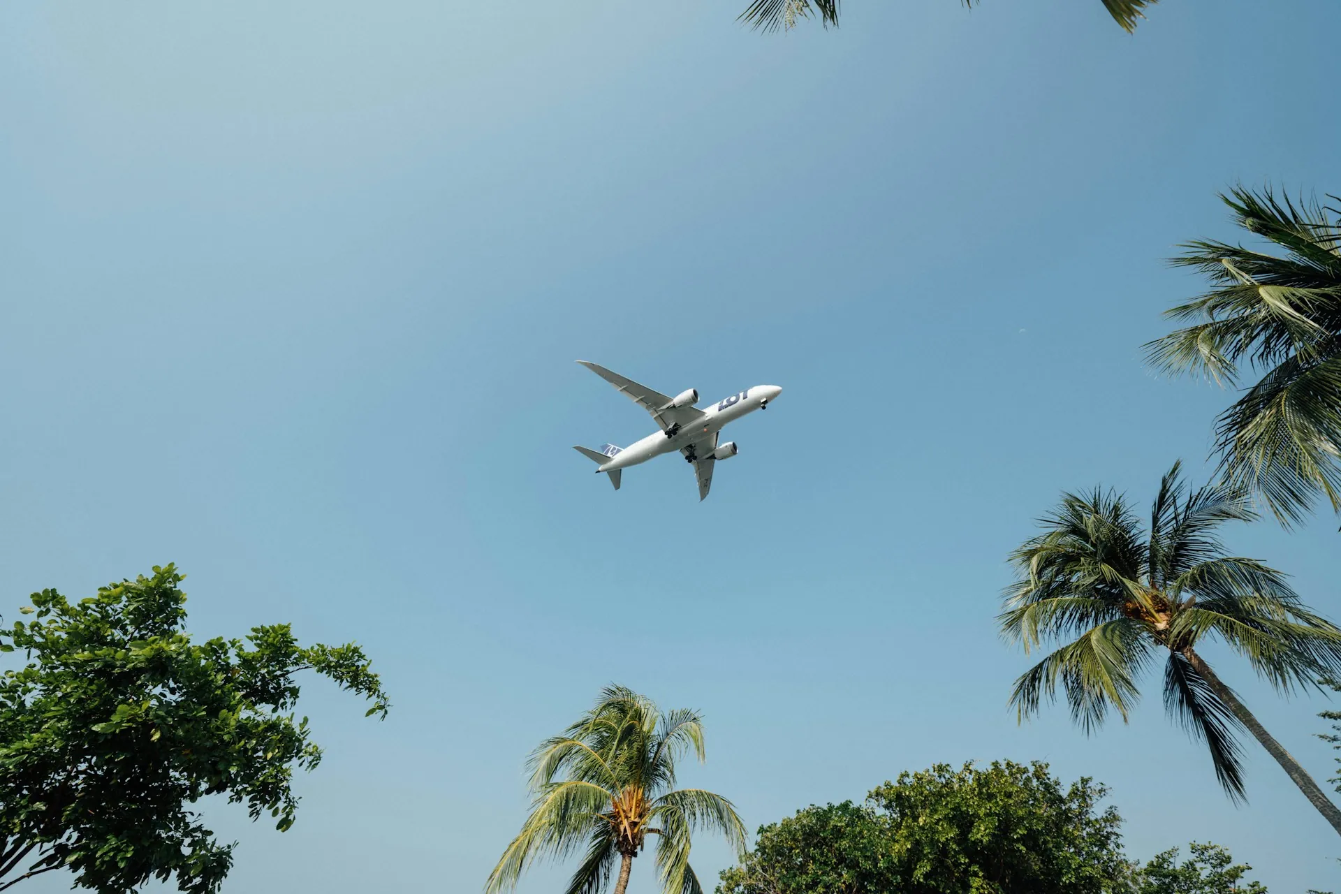 hanson-lu-doSvJDitJrQ-unsplash